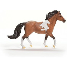 Semental Mangalarga Marchador