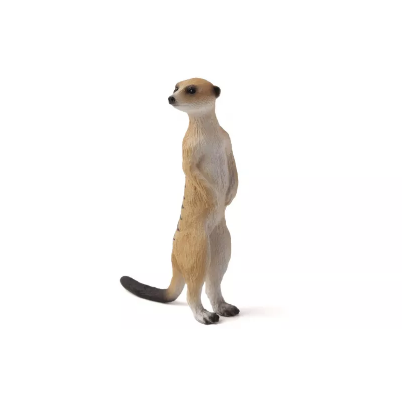 Mochila Selva 3D con 3 figuras y folleto de coleccionista (Leon, Zebra y Suricato)