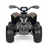 Polaris Outlaw 330W Camo