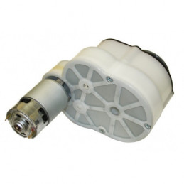 Motor Peg-Pérego 24V Super Power Gaucho