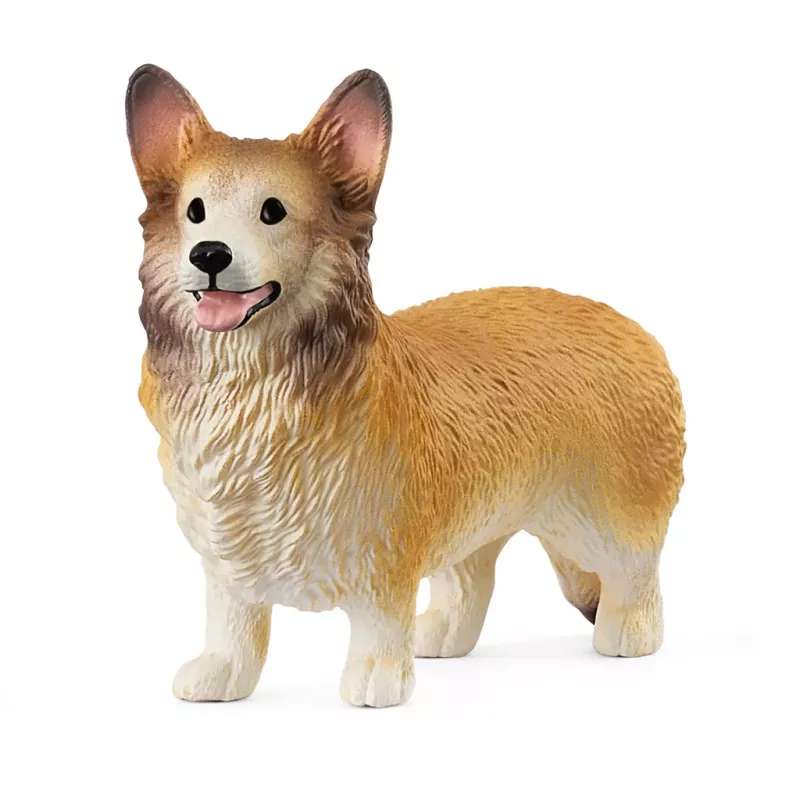 Corgi galés
