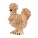 Gallina silkie