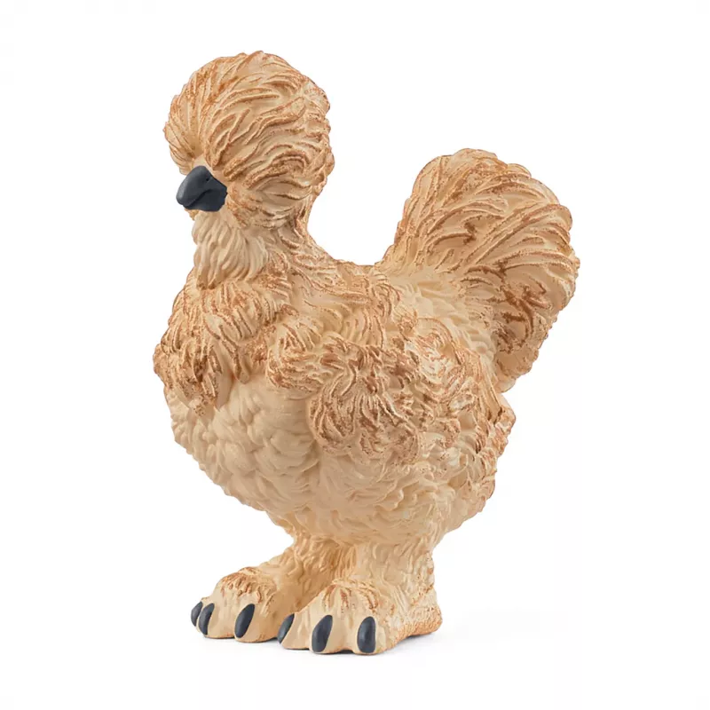 Gallina silkie