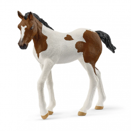Potro Paint Horse
