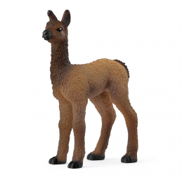 Potro de llama