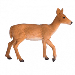 Ciervo de cola blanca