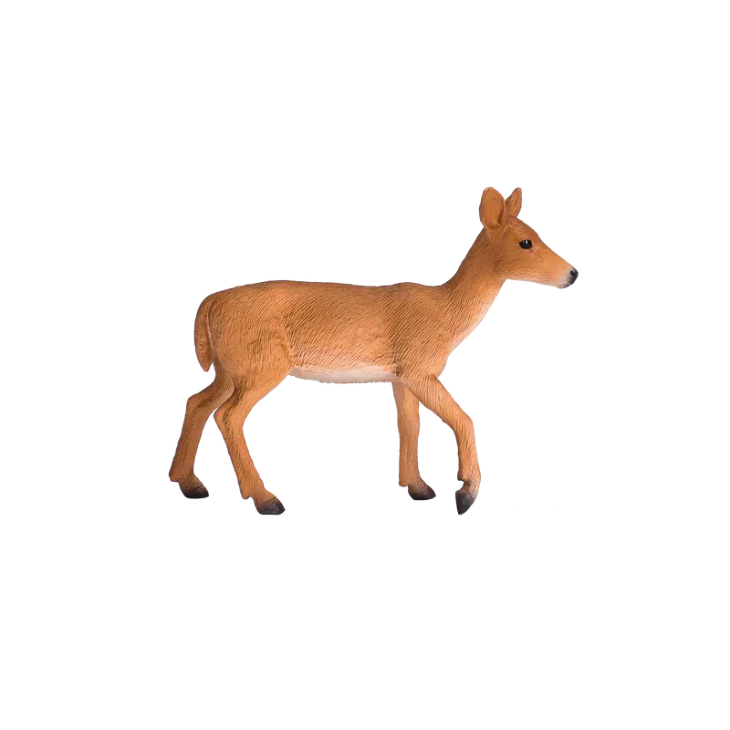 Ciervo de cola blanca