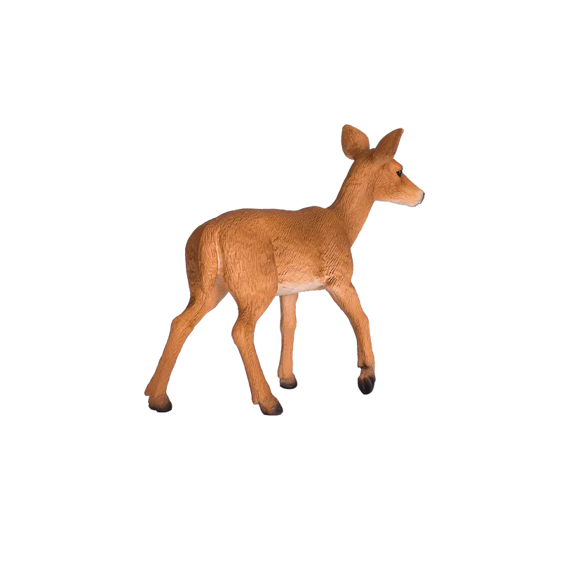 Ciervo de cola blanca