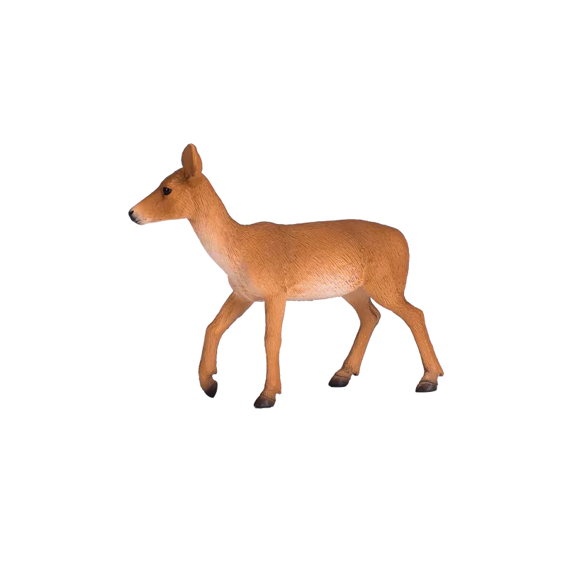 Ciervo de cola blanca