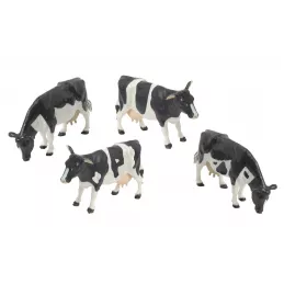 Vacas Frisonas