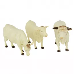 Vacas Simmental/Charlois (3.unidades)