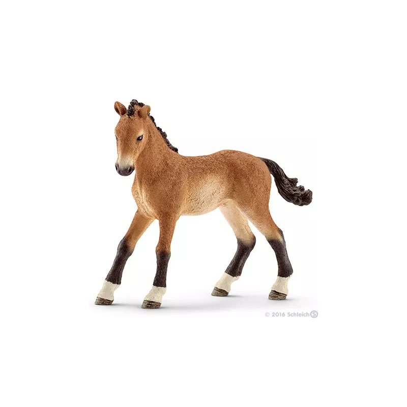 Potro Tennessee Walker