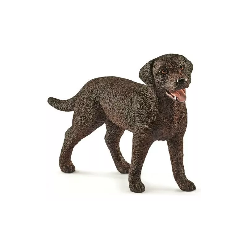 Labrador Retriever hembra