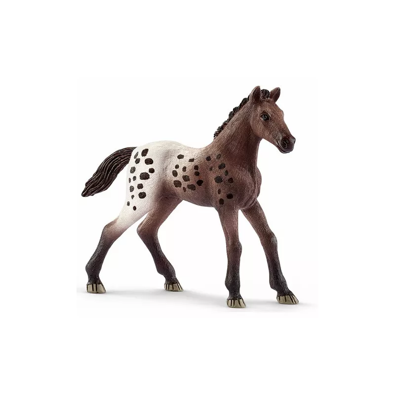 Potro Appaloosa