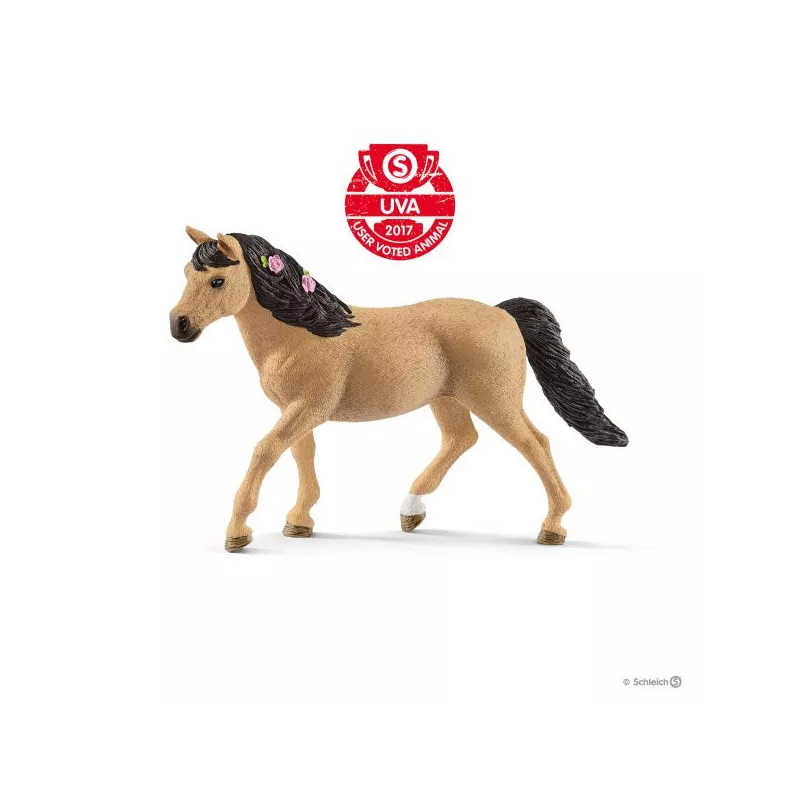 Yegua de poni de Connemara