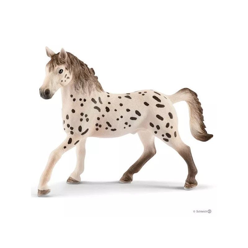 Semental Knabstrupper