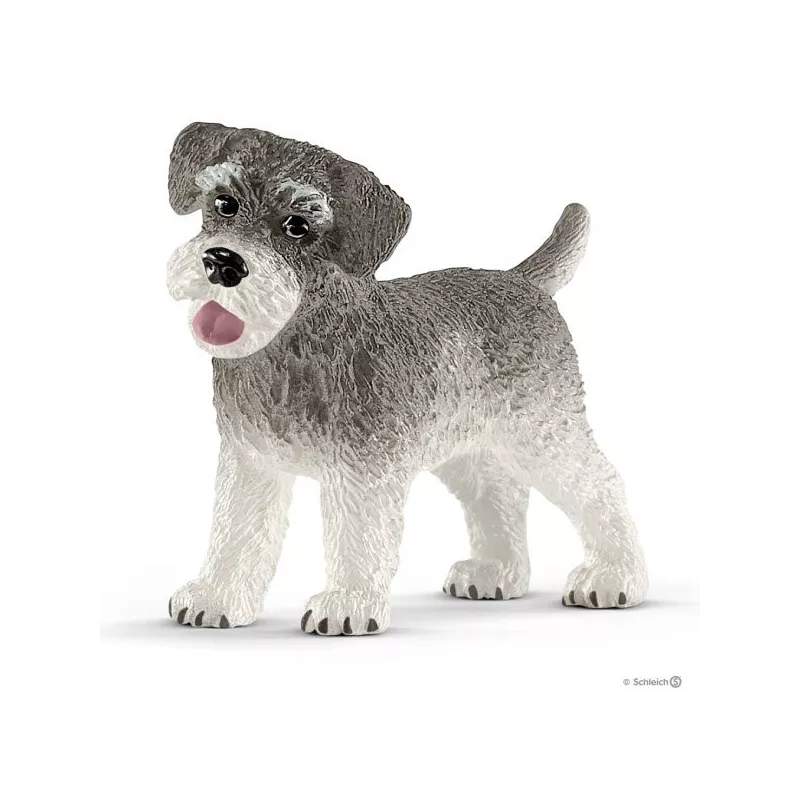 Schnauzer miniatura