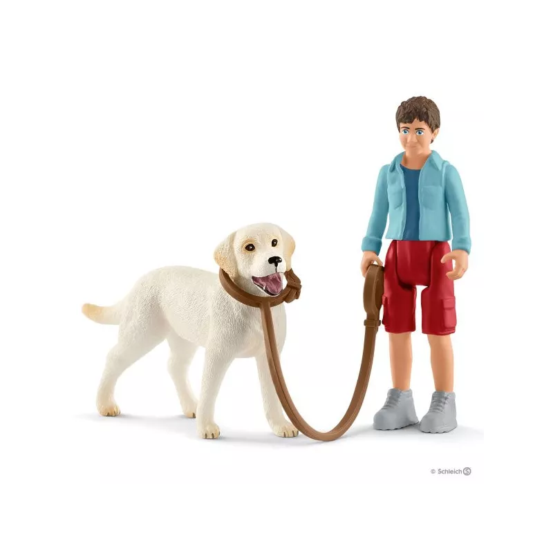 Paseo con Labrador Retriever