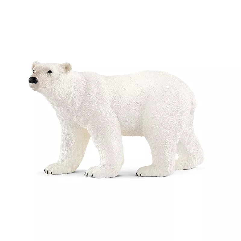 Oso polar