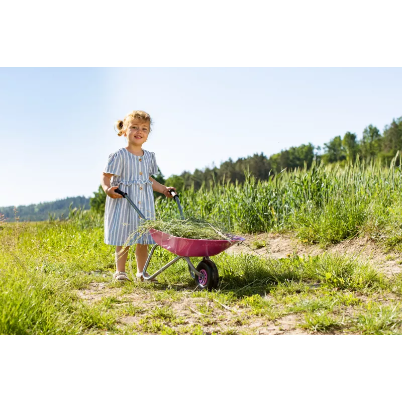 carretilla metal rolly