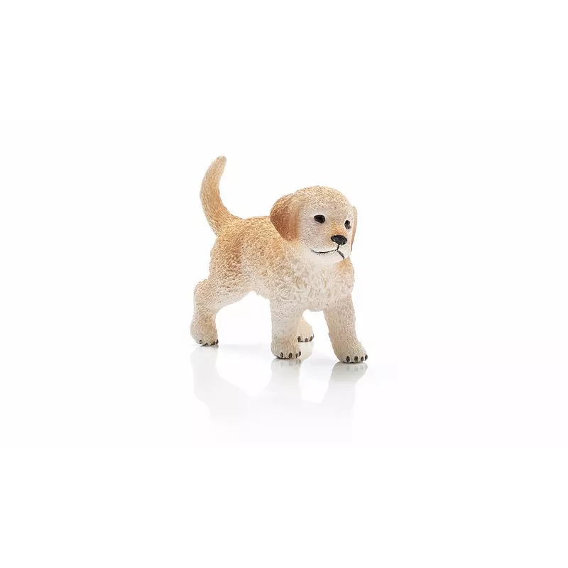 CACHORRO GOLDEN RETRIEVER