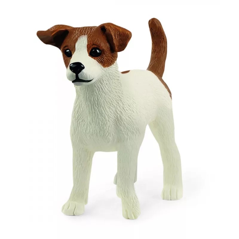 JACK RUSSELL TERRIER