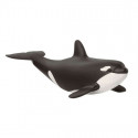 ORCA JOVEN