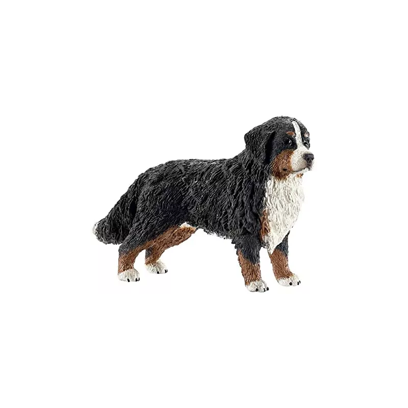 PERRO BERNÉS HEMBRA