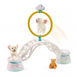 ENTRENAMIENTO DE LEONCITOS ALADOS