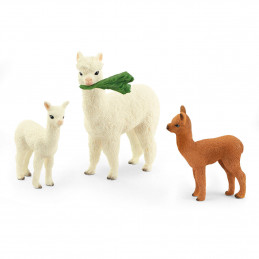 FAMILIA DE ALPACAS