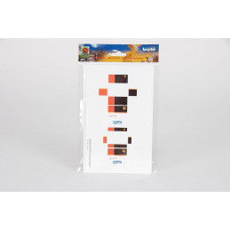 Paquetes UPS (2 hojas)