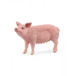 Cerdo