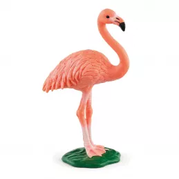 Flamenco