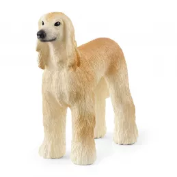 Galgo