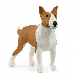 Bull terrier