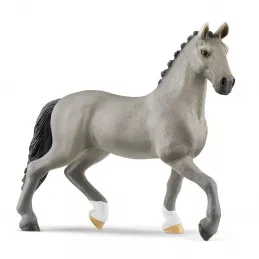 Semental Cheval de Selle Français