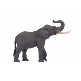 Elefante Africano