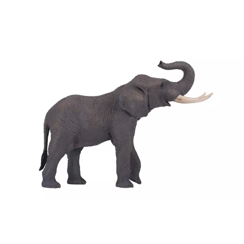 Elefante Africano