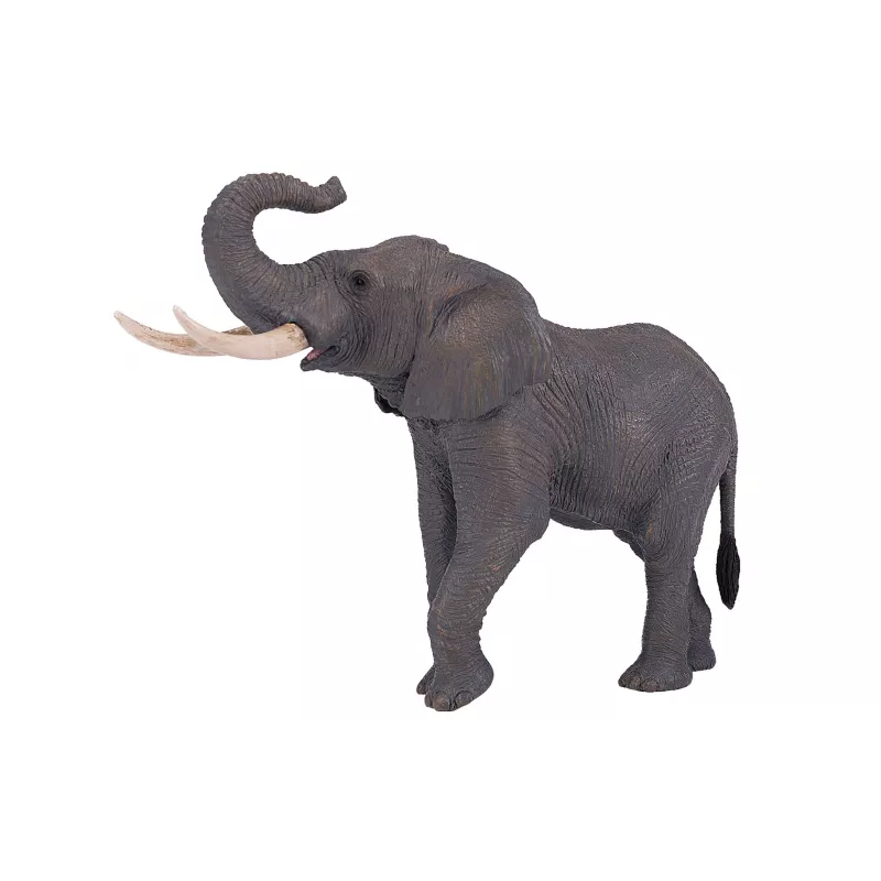 Elefante Africano