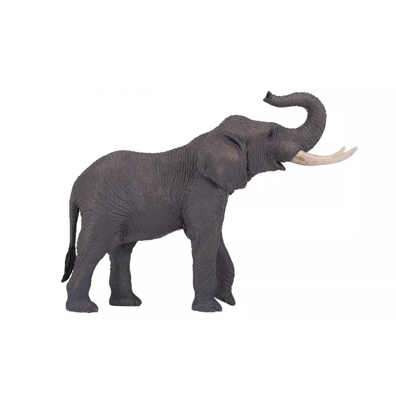 Elefante Africano