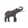 Elefante Africano