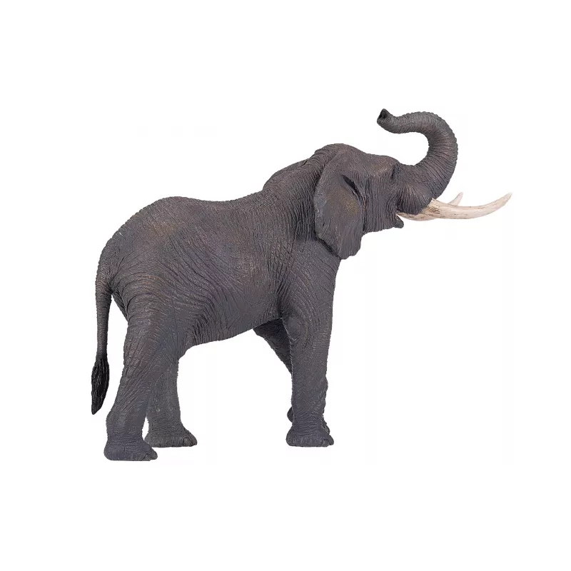 Elefante Africano