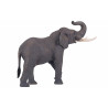 Elefante Africano