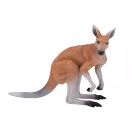 Canguro