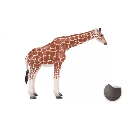 jirafa hembra