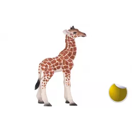 Cría de jirafa