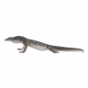 Lagarto Perentie