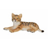 Tiger bebe tumbado