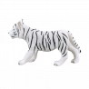 Cachorro de tigre blanco de pie