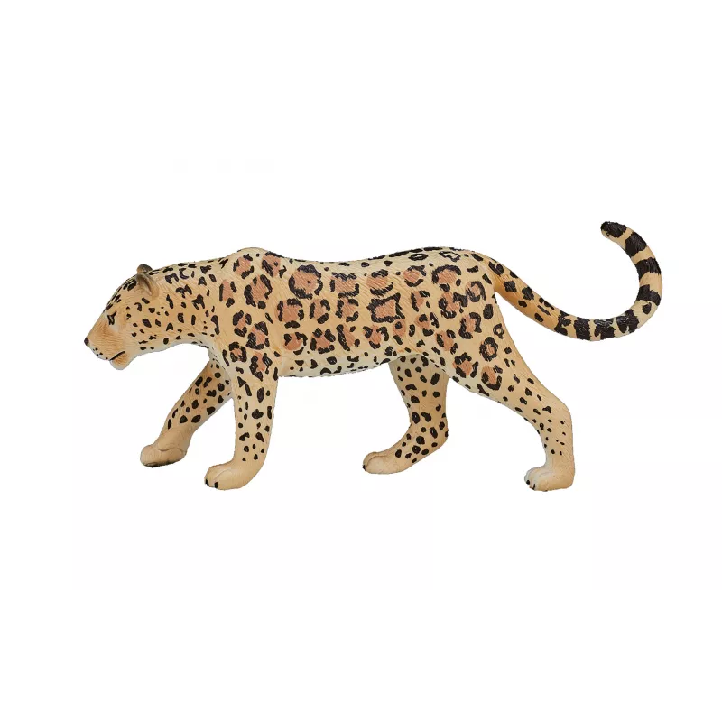 Leopardo